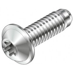 Vite autoformante S6x16-T25