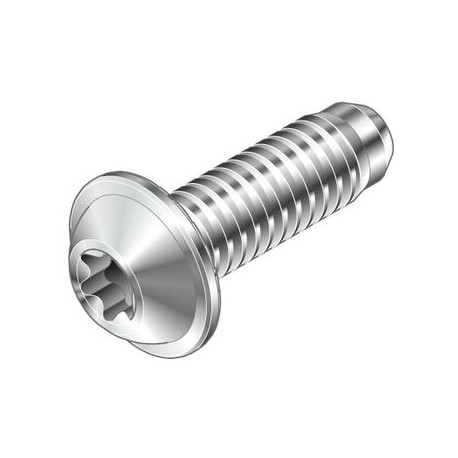 Vite autoformante S6x16-T25